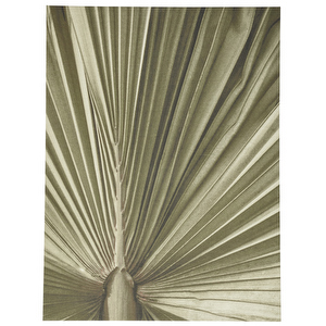 Palm Leaf -taulu, 90 x 120 cm