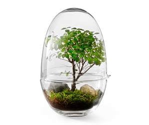 Grow Mini Greenhouse, H 32 cm