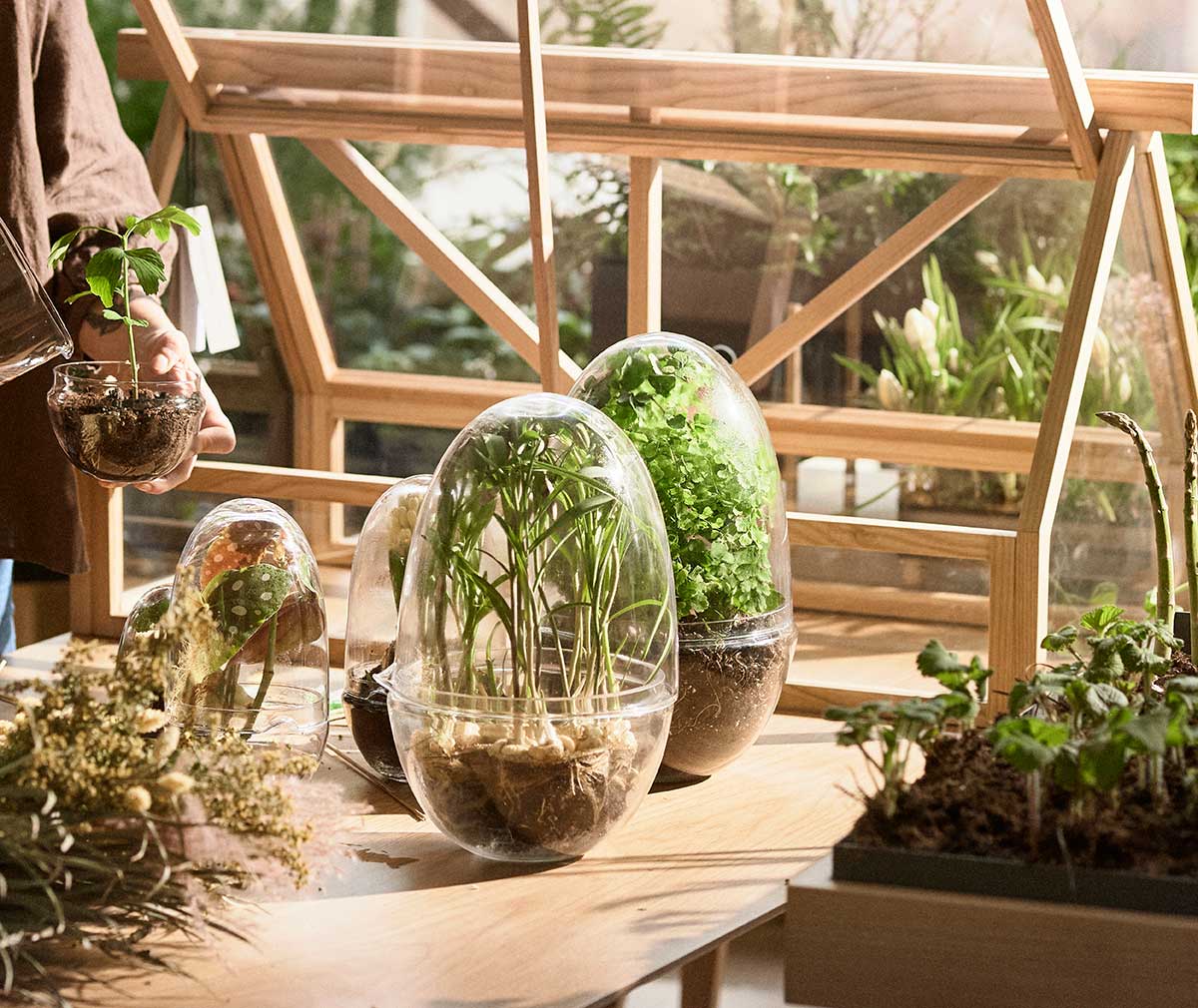 Design House Stockholm Grow Mini Greenhouse, H 32 cm | Vepsäläinen