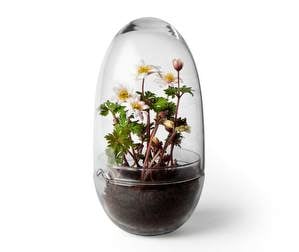 Grow Mini Greenhouse, H 24 cm